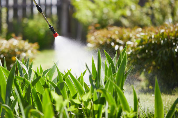 Tamper-Resistant Bait Stations for Rodents in Bryan