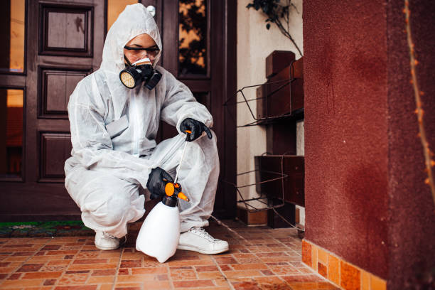 Attic and Crawl Space Rodent Treatment in Bryan