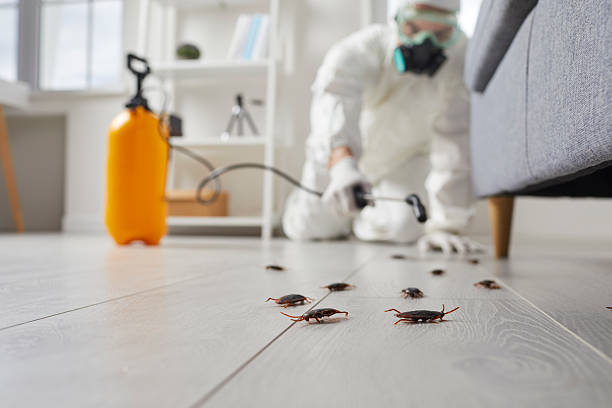 Commercial Rodent Management in Bryan